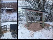 dokarmianie-bazantow_3