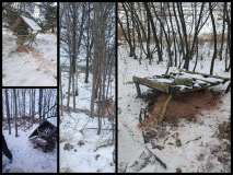 dokarmianie-bazantow_4