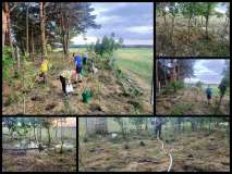 Podlewanie_16.05.2024