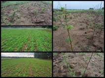 Remiza na dzień 6.06.2025