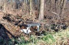 PHOTO-2024-12-27-17-37-29