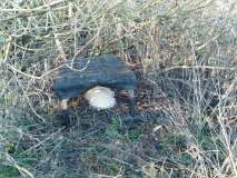 PHOTO-2024-12-27-17-37-32