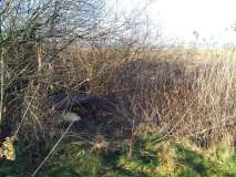 PHOTO-2024-12-27-17-37-33