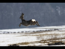 815-big-040713040713