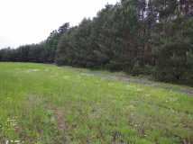 IMG-20200608-WA0007