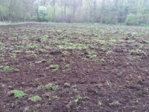 1375-big-IMG-20170625-WA0020