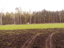 1382-big-IMG-20170625-WA0013