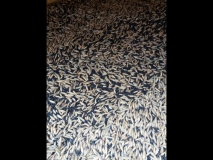 1385-big-IMG-20170625-WA0009