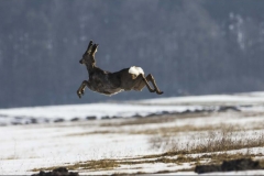 815-big-040713040713